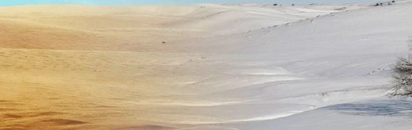 Umweltsimulation Banner