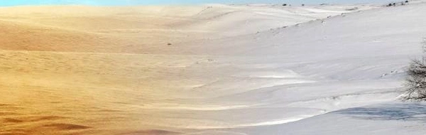 Umweltsimulation Banner